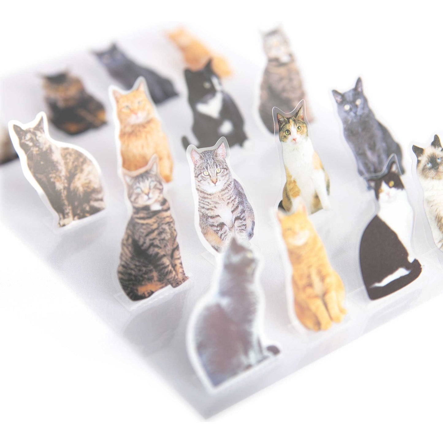 Pop Up Scrapbook Stickers - Cats