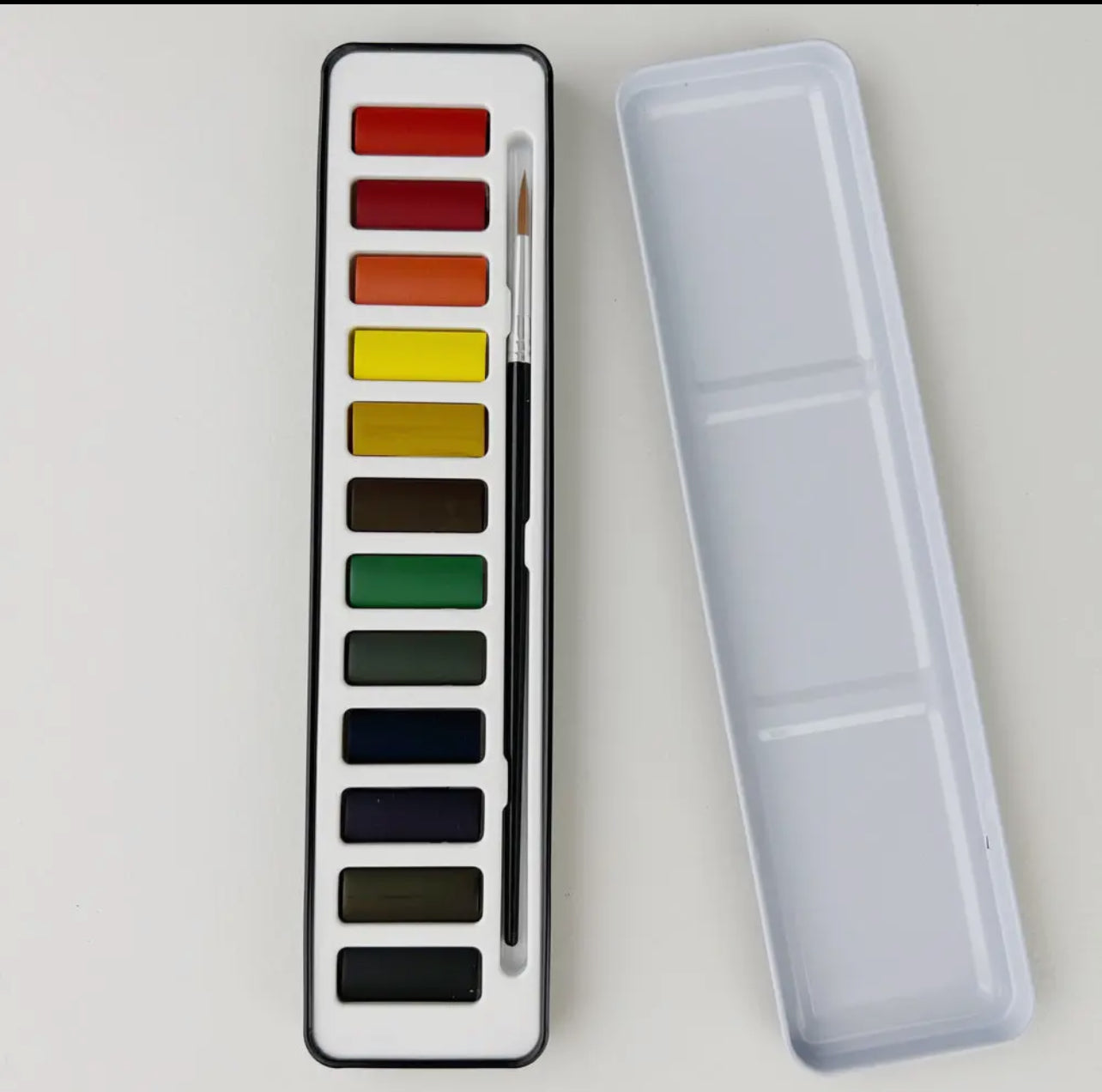 Emily Lex Watercolors & Brush Set