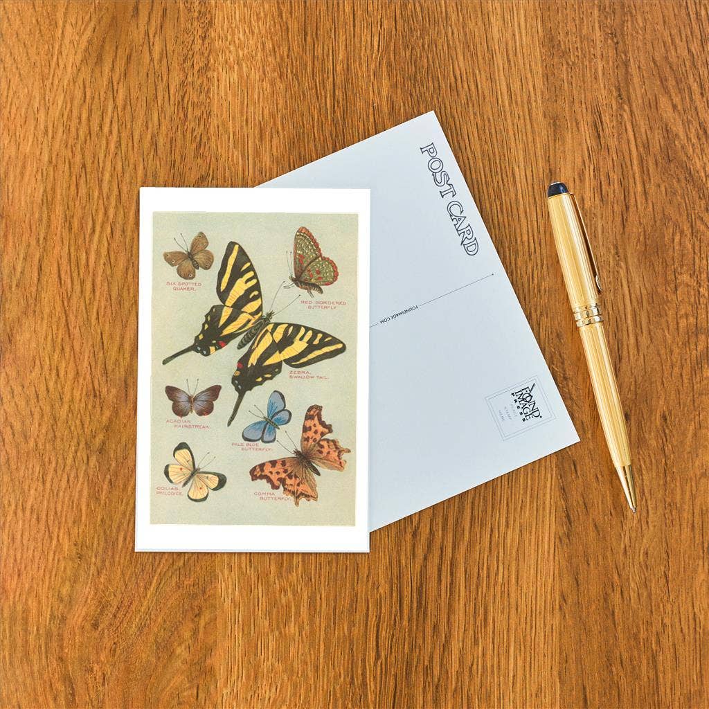 Postcard IS-24 Butterflies