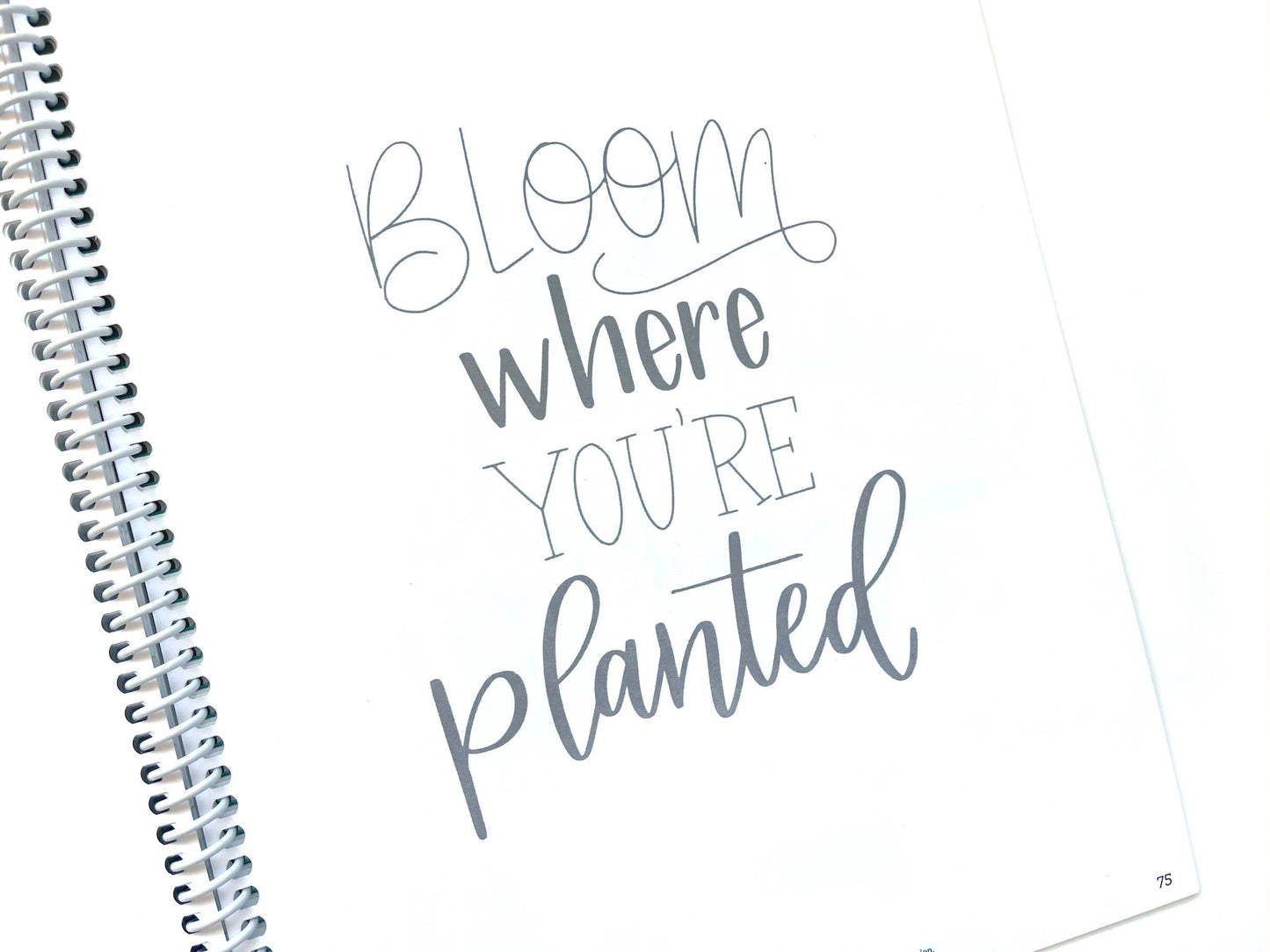 Mindful Lettering for Fun: Plant Edition