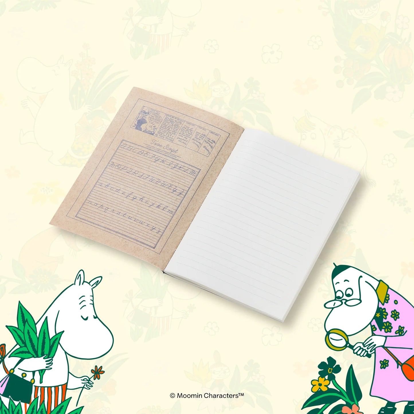 Esterbrook x Moomin NYBG Small Notebook Set of 3