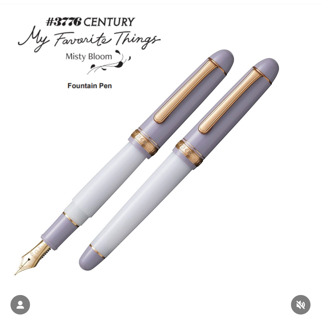 Platinum 3776 Century Fountain Pen - Misty Bloom (LIMITED EDITION