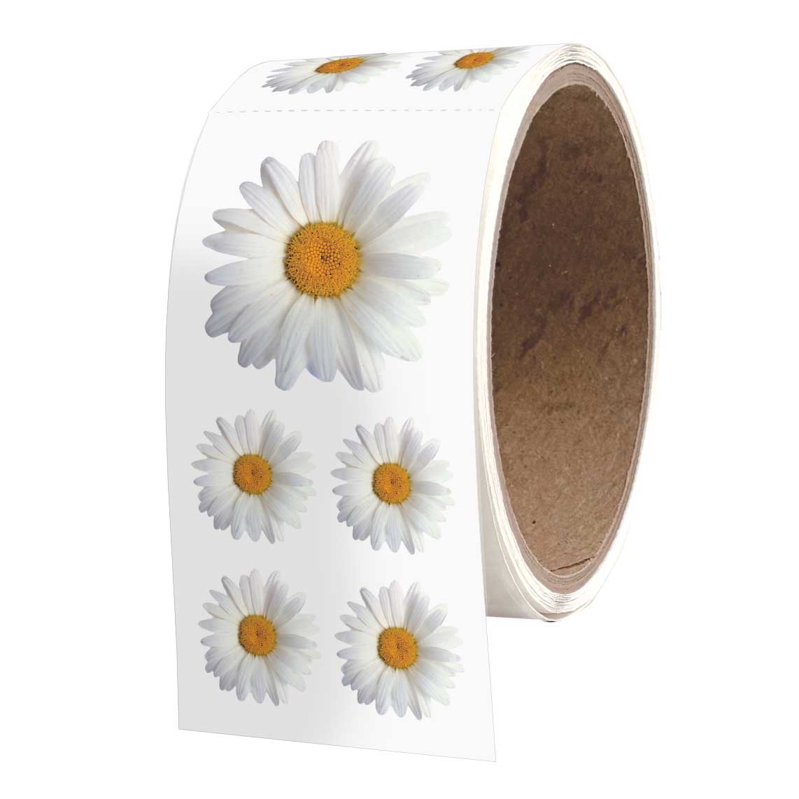 Oxeye Daisy Stickers - ROLL OF 50 MODULES