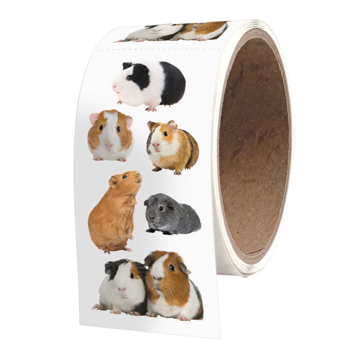Guinea Pigs 2x4 Sticker Sheet