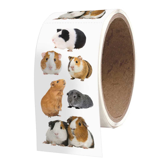 Guinea Pigs 2x4 Sticker Sheet