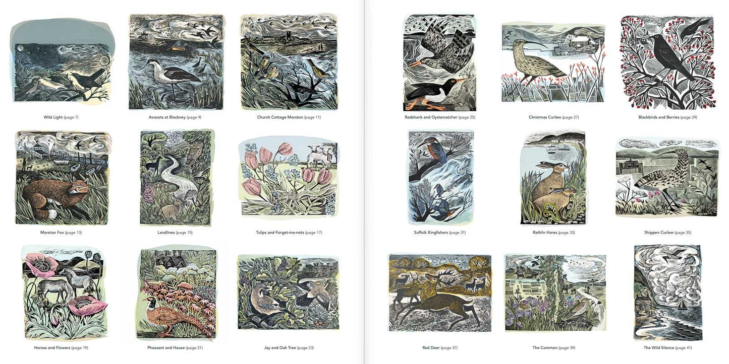 Angela Harding Coloring Book by