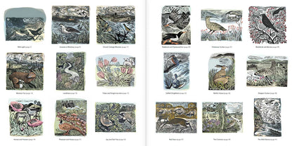 Angela Harding Coloring Book by