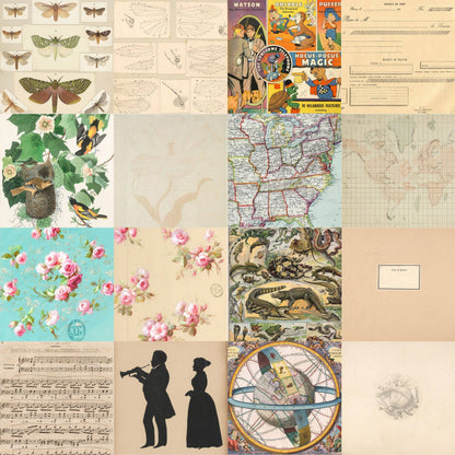 Ephemera Patterned Paper Pack