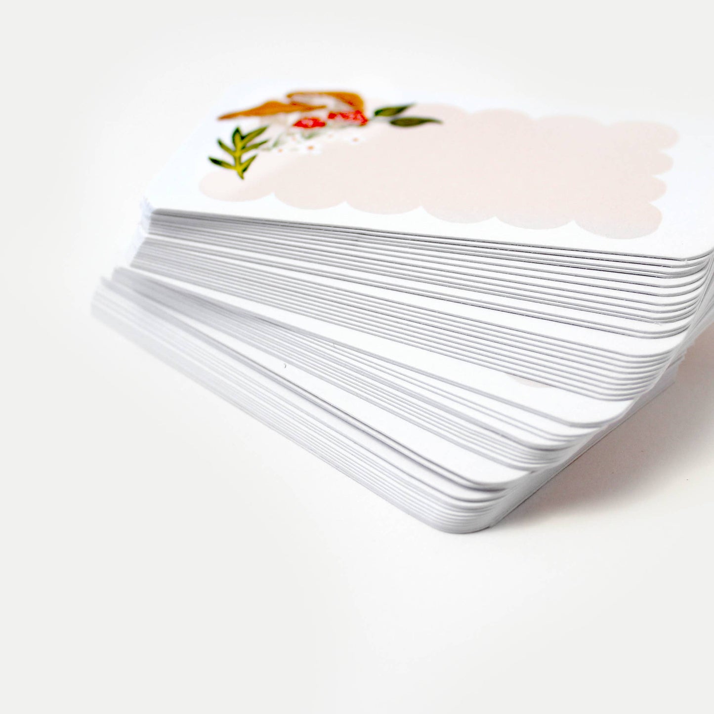 Pocket Notes™ - Woodland Mushrooms