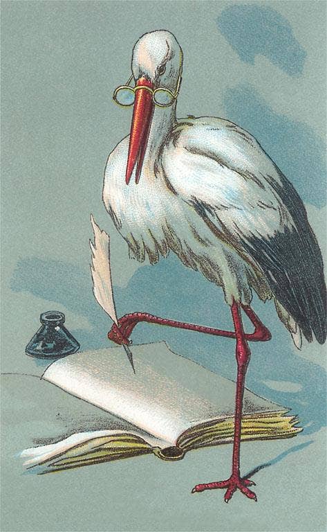 Postcard BY-86 Stork Preparing to Write