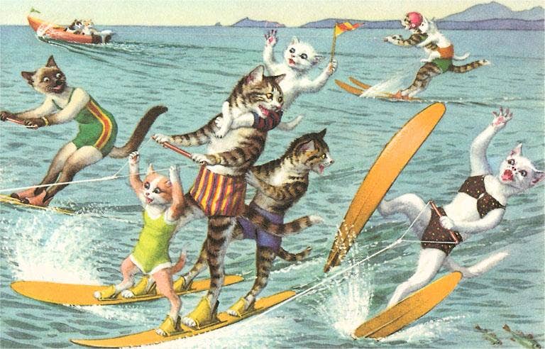 Postcard Crazy Cats Waterskiing