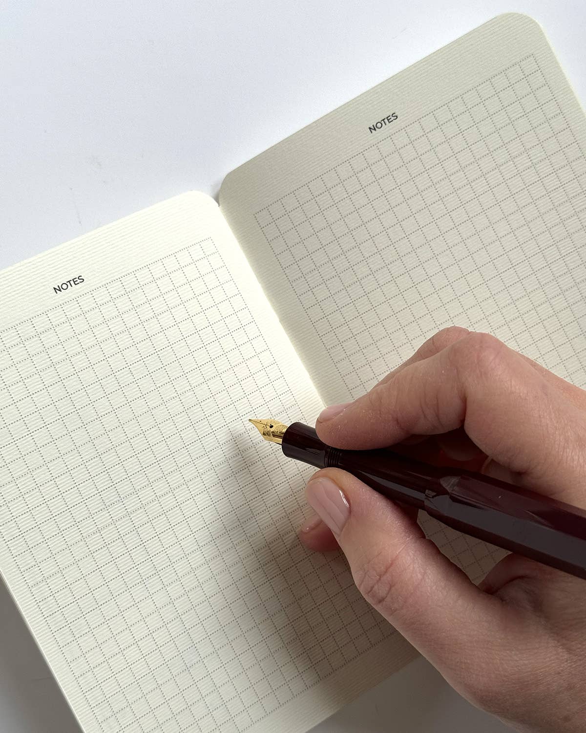 'Save the Date' Notebook Birthday Planner