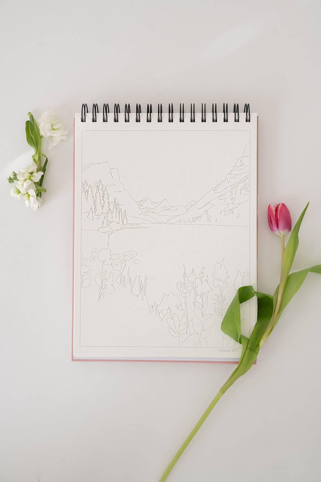 National Parks Watercoloring Book-Outlines w/Video Tutorials