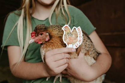 Wingin' It Chicken Sticker
