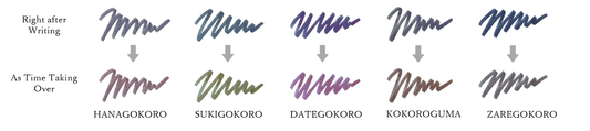 Sailor Yurameku Ink Series 2nd Edition - 20ml