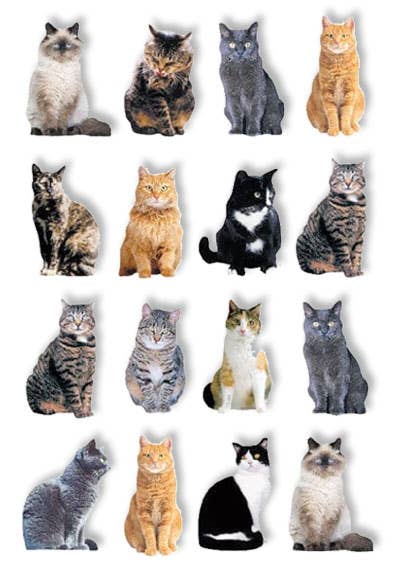 Pop Up Scrapbook Stickers - Cats