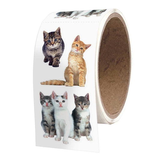 Playful Kittens 2x4  Sticker Sheet