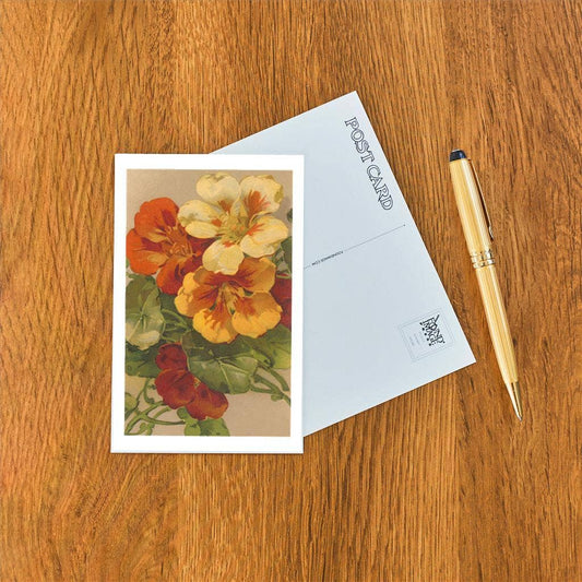 Postcard FC-327 Nasturtiums