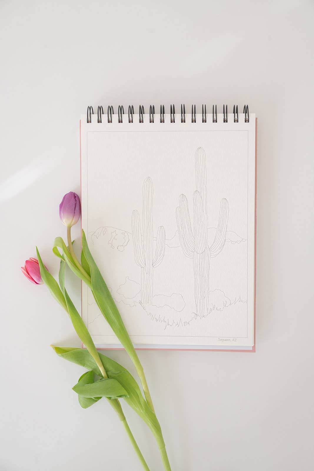 National Parks Watercoloring Book-Outlines w/Video Tutorials