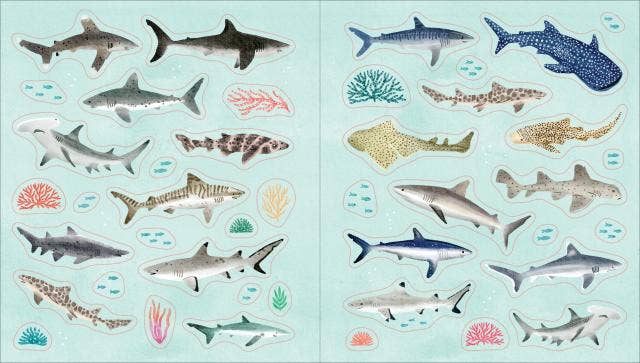 Sticker Book: Under the Sea