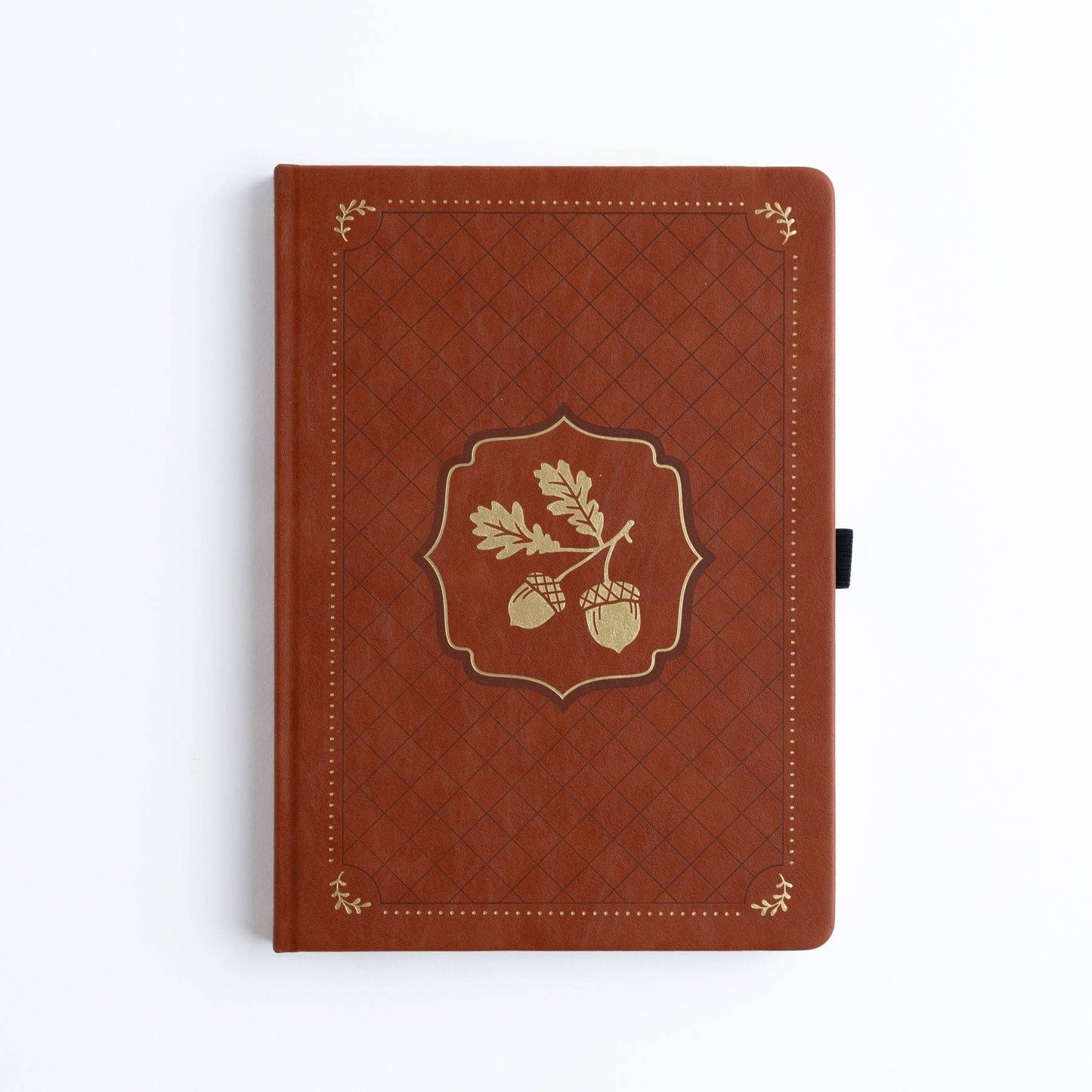 B5 Acorns Dot Grid Notebook