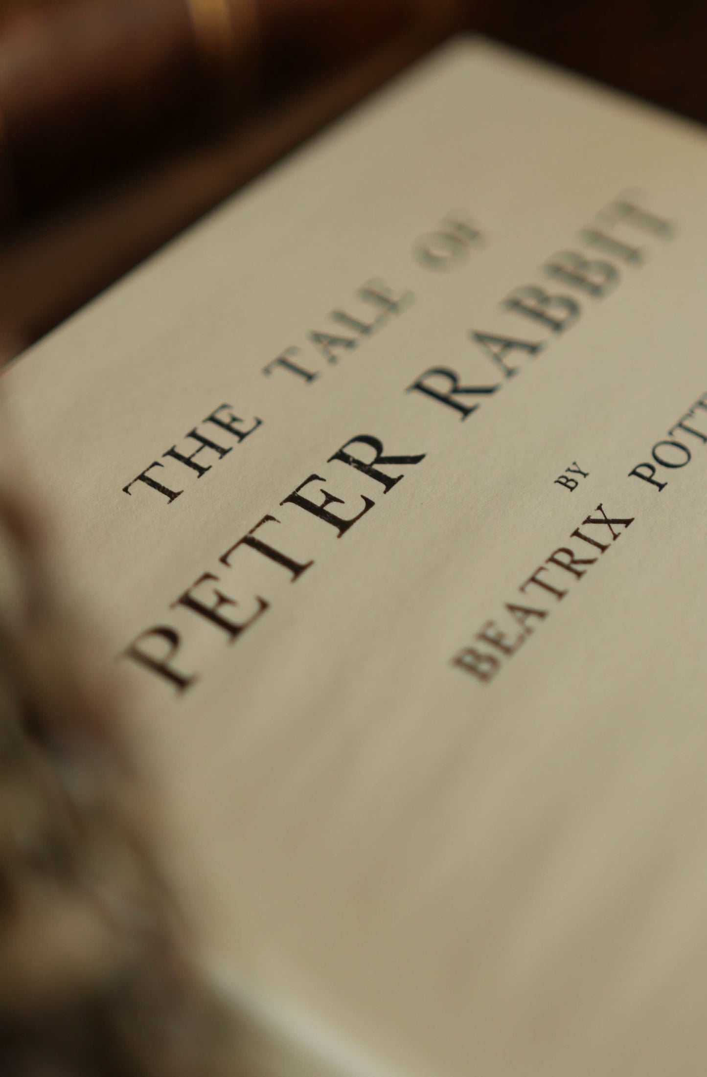 *The Tale of Peter Rabbit by Beatrix Potter 1902 Book Journal