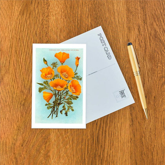 Postcard CA-307 California Poppies