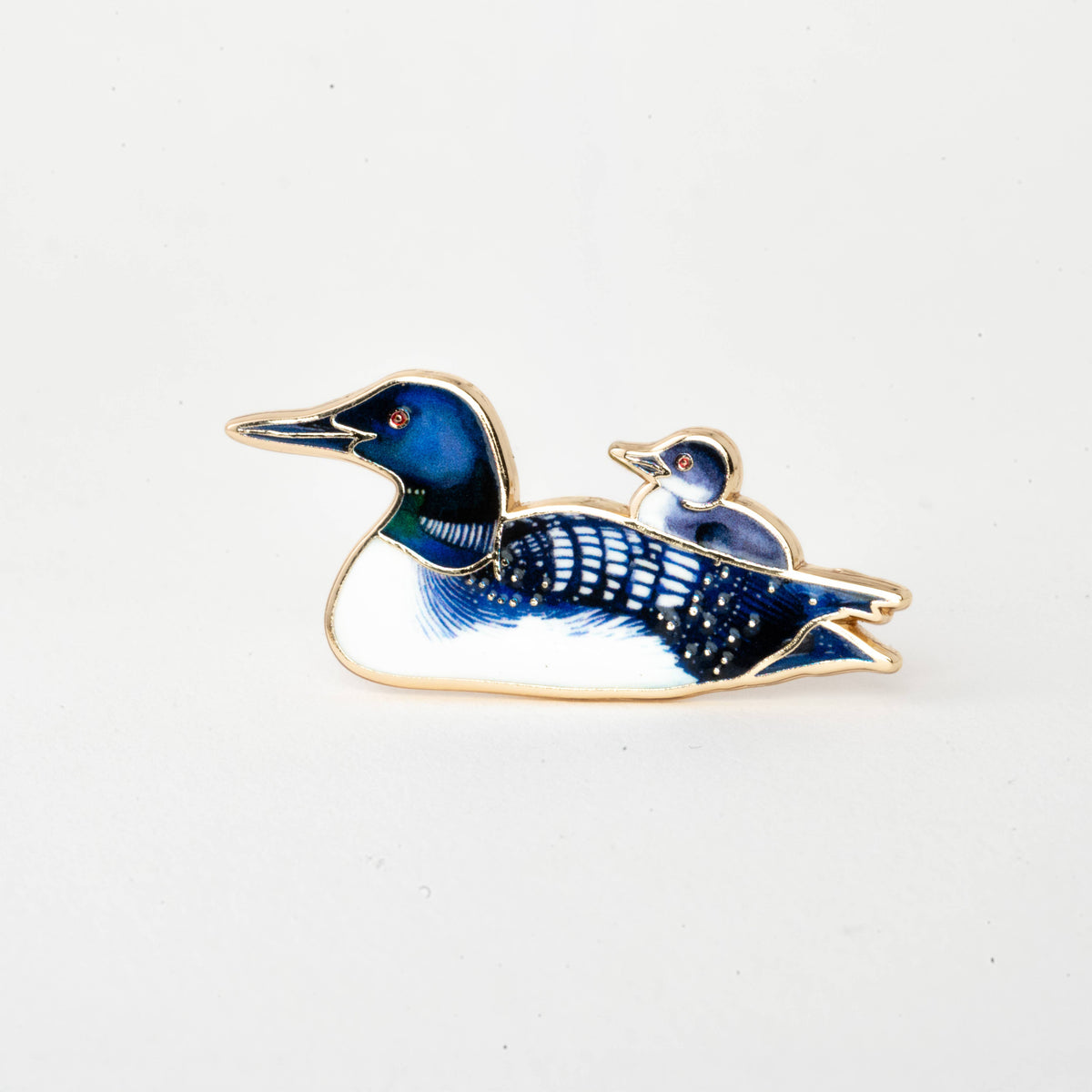 Blue and black loon enamel lapel pin with gold-tone border
