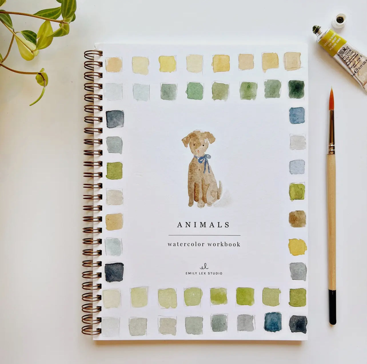 Emily Lex Watercolor Booklets