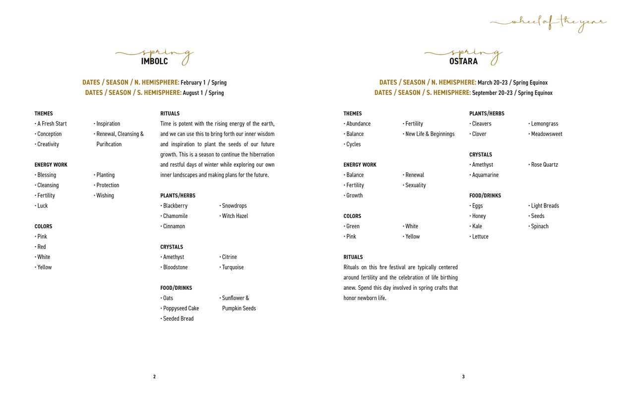 Elemental Alchemist Guided Journal by Nyasha  Williams