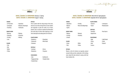 Elemental Alchemist Guided Journal by Nyasha  Williams