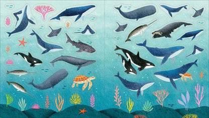 Sticker Book: Under the Sea
