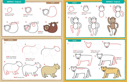 Learn to Draw . . . Everything!