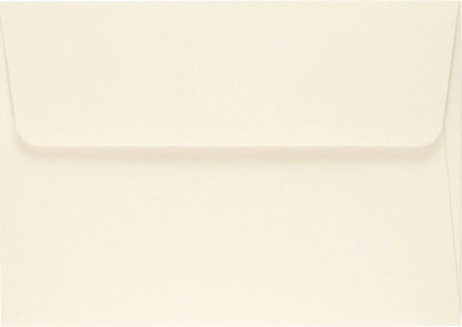 Mushrooms Note Cards