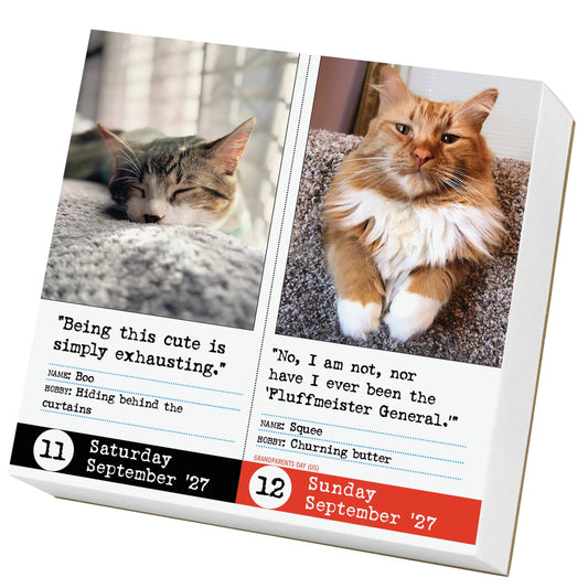 Bad Cat Page-A-Day 2027 calendar open to September '27 with two cat photos