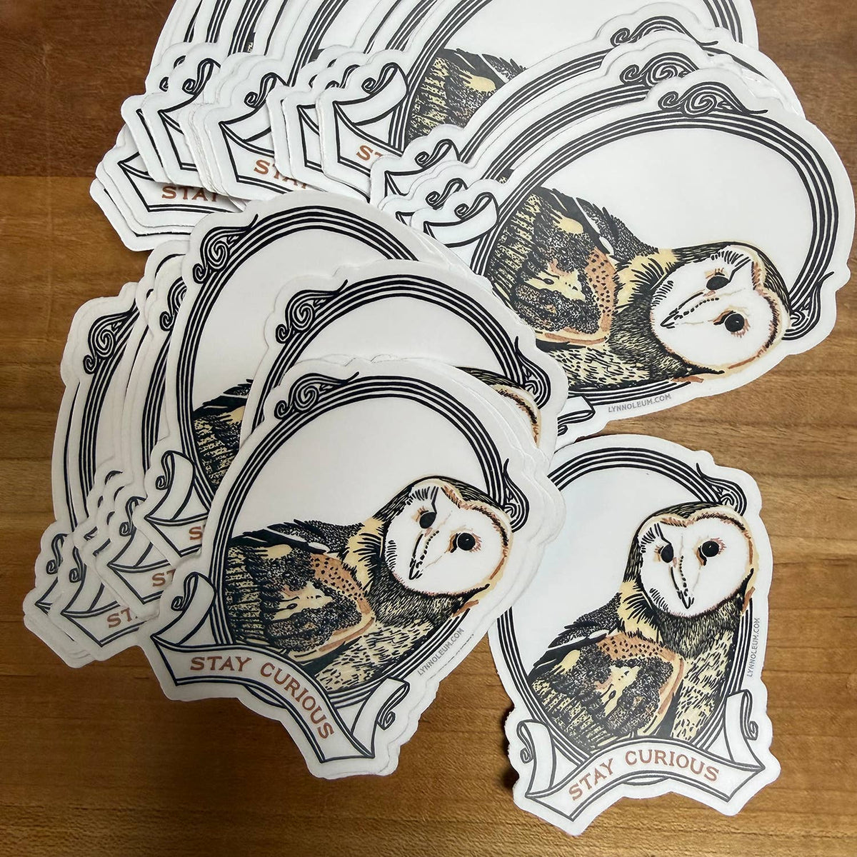 Barn Owl - Stay Curious STICKER