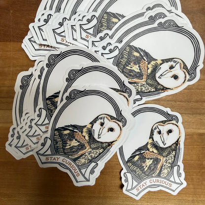 Barn Owl - Stay Curious STICKER