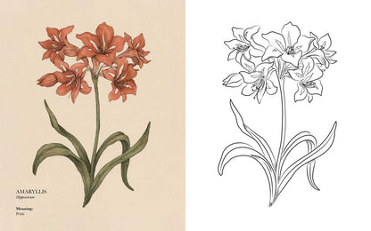 Floriography Coloring Book by Jessica  Roux