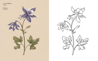 Floriography Coloring Book by Jessica  Roux