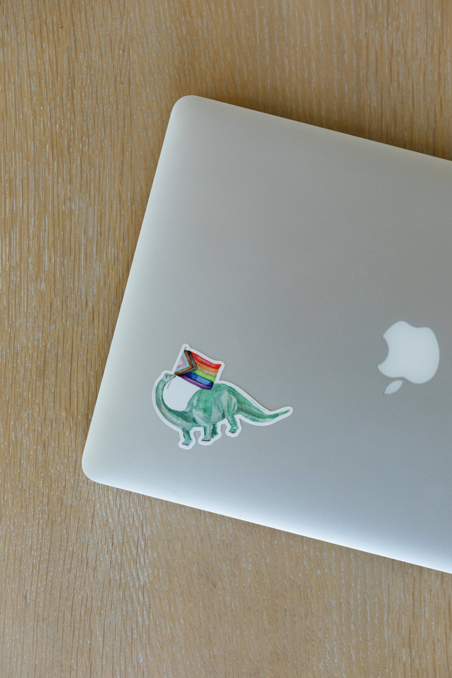 Reading Cat Sticker