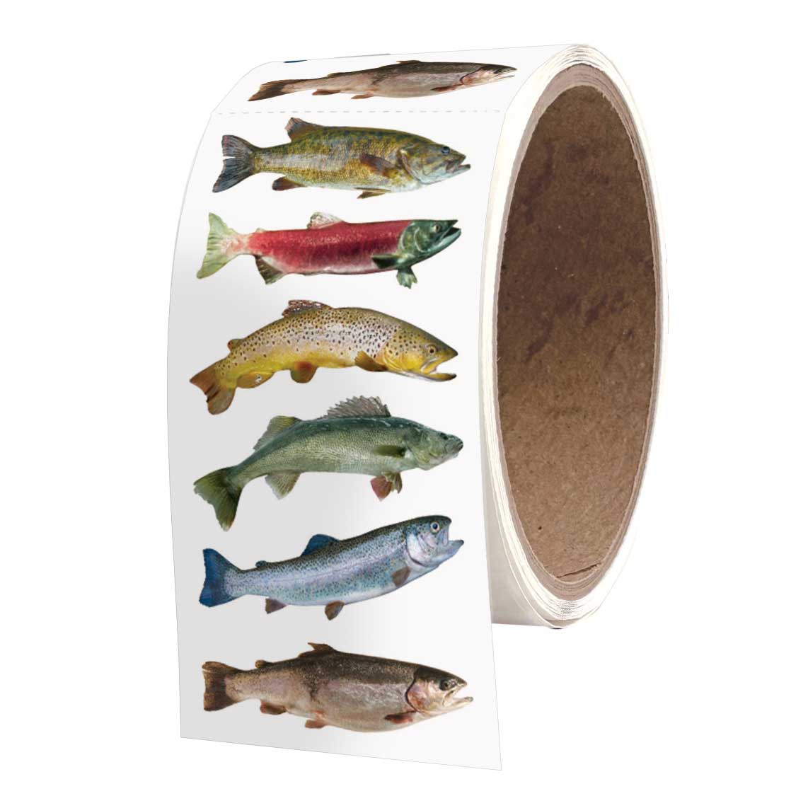 Freshwater Fish 2x4 Stickers