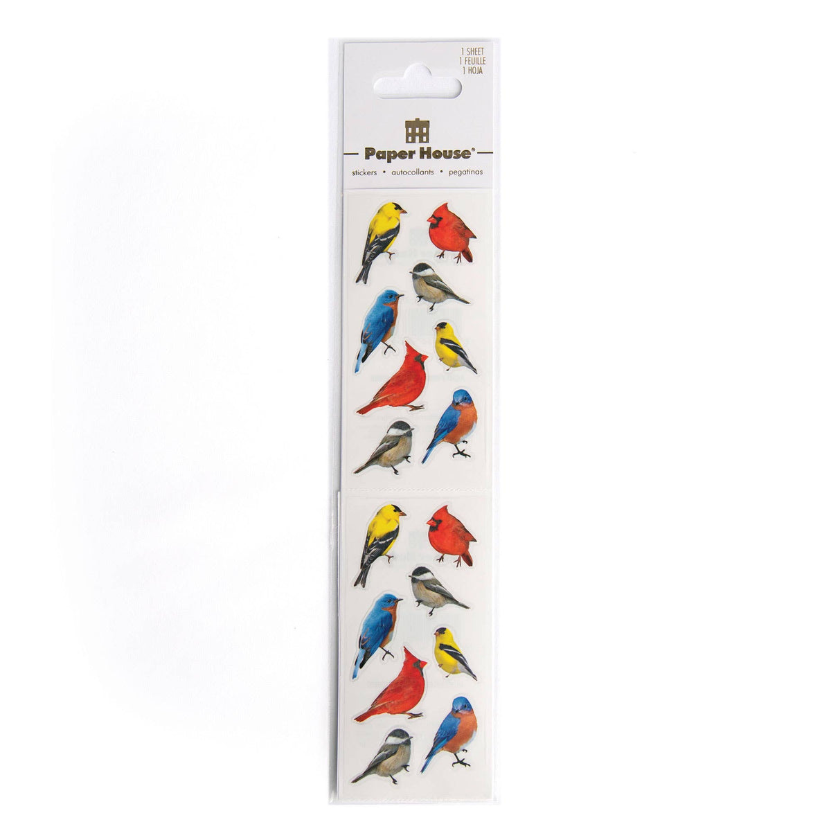 Set of bird stickers with colorful songbirds in red, blue, yellow on sheets
