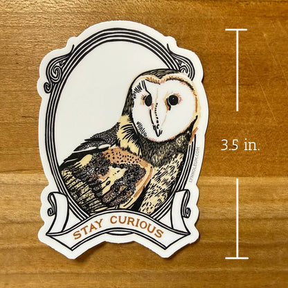 Barn Owl - Stay Curious STICKER