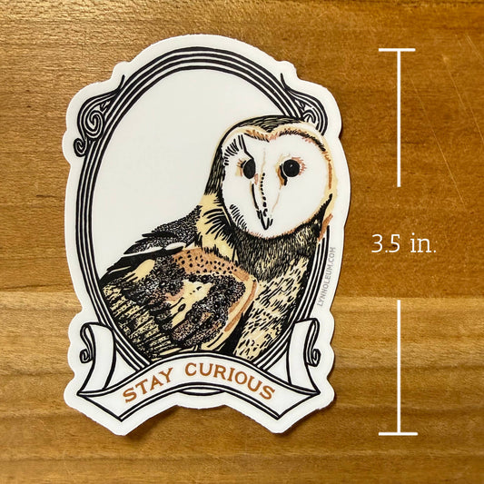Barn owl sticker, white border, black line art, 'Stay Curious' text at bottom