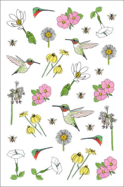 Nature Anatomy Sticker Book