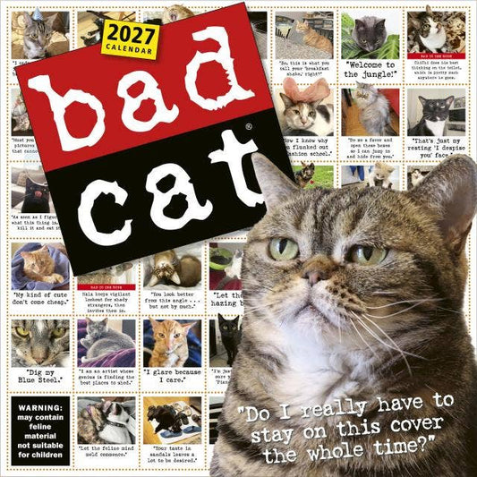 2027 wall calendar with large tabby cat collage and bold “Bad Cat” lettering