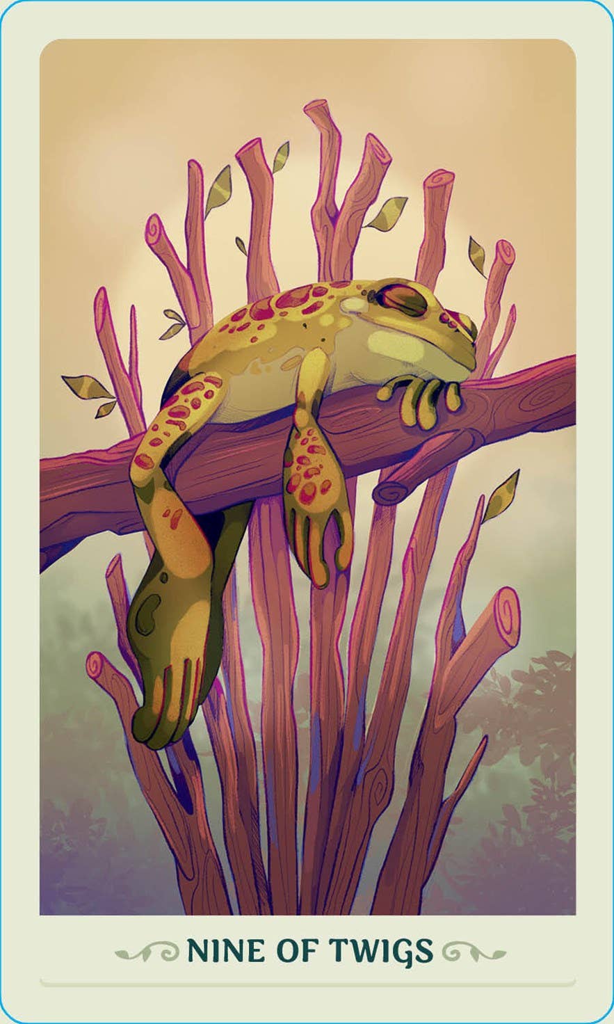 Fortunate Frogs