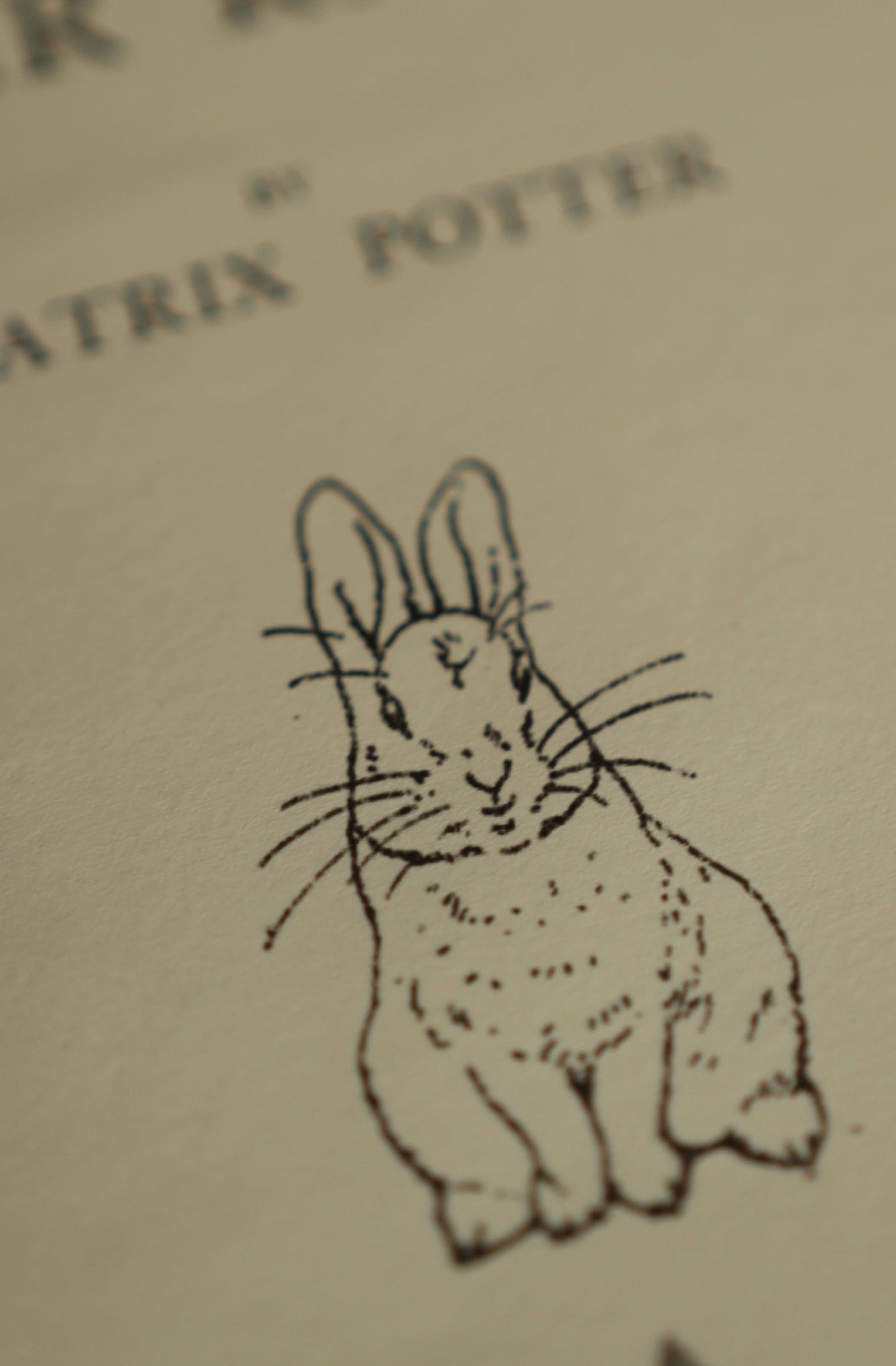 *The Tale of Peter Rabbit by Beatrix Potter 1902 Book Journal
