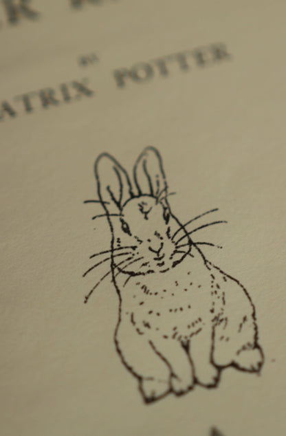 *The Tale of Peter Rabbit by Beatrix Potter 1902 Book Journal