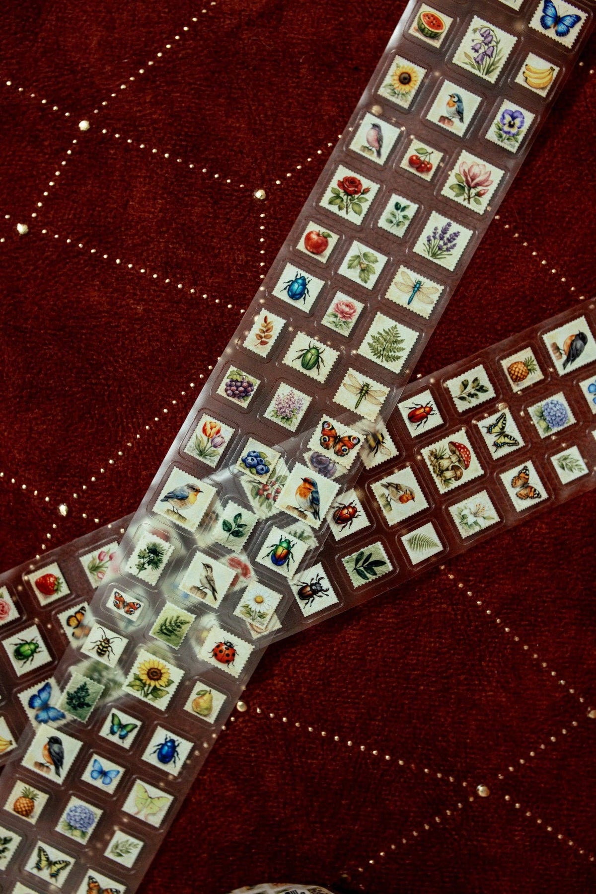 Transparent tape strip with mini postage stamps, extended length and partially looped